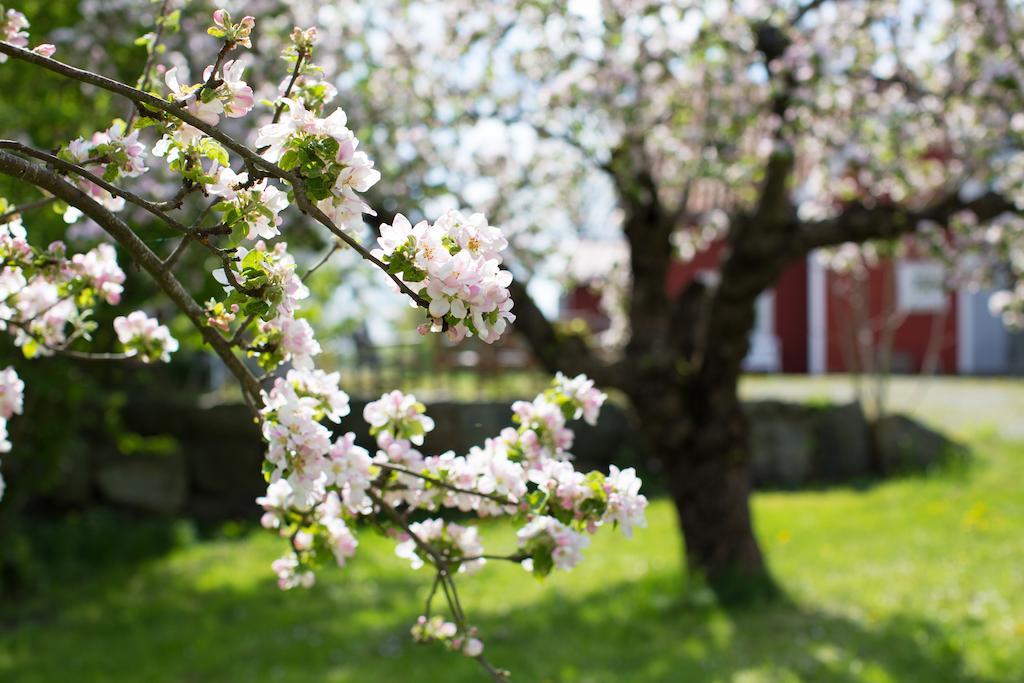 Hotel Lilla Soergarden Kungsberga Zewnętrze zdjęcie